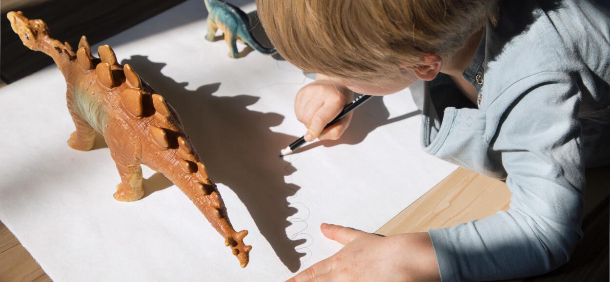 shadow drawing