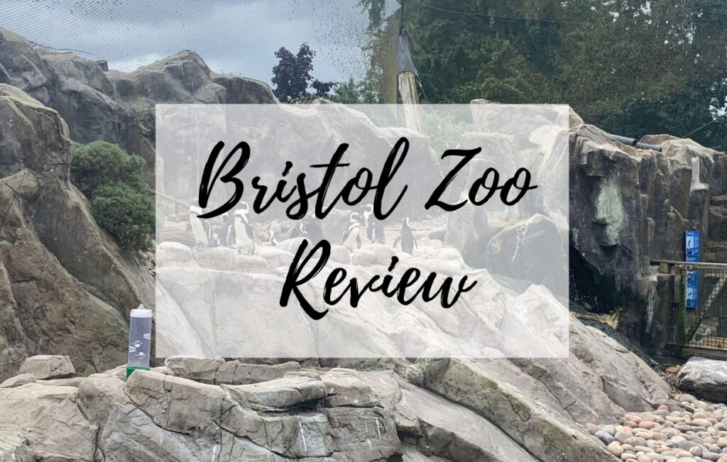 bristol zoo review